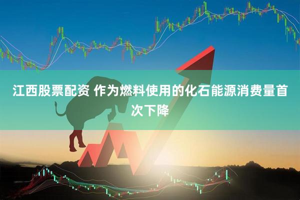 江西股票配资 作为燃料使用的化石能源消费量首次下降