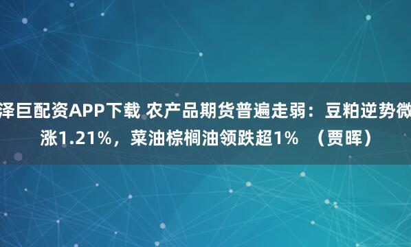 泽巨配资APP下载 农产品期货普遍走弱:豆粕逆势微涨1.21%,菜油棕榈油领跌超1% (贾晖)