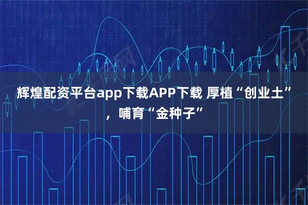 辉煌配资平台app下载APP下载 厚植“创业土”,哺育“金种子”