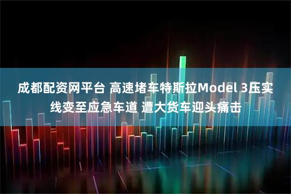 成都配资网平台 高速堵车特斯拉Model 3压实线变至应急车道 遭大货车迎头痛击